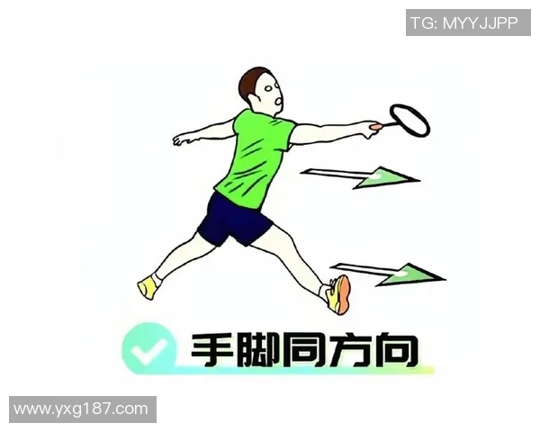 王敏独家分享羽毛球技巧与心得助你提升球技的全面指南